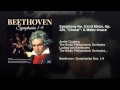 Miniature de la vidéo de la chanson Symphony No. 9 In D Minor, Op. 125 “Choral”: Ii. Molto Vivace