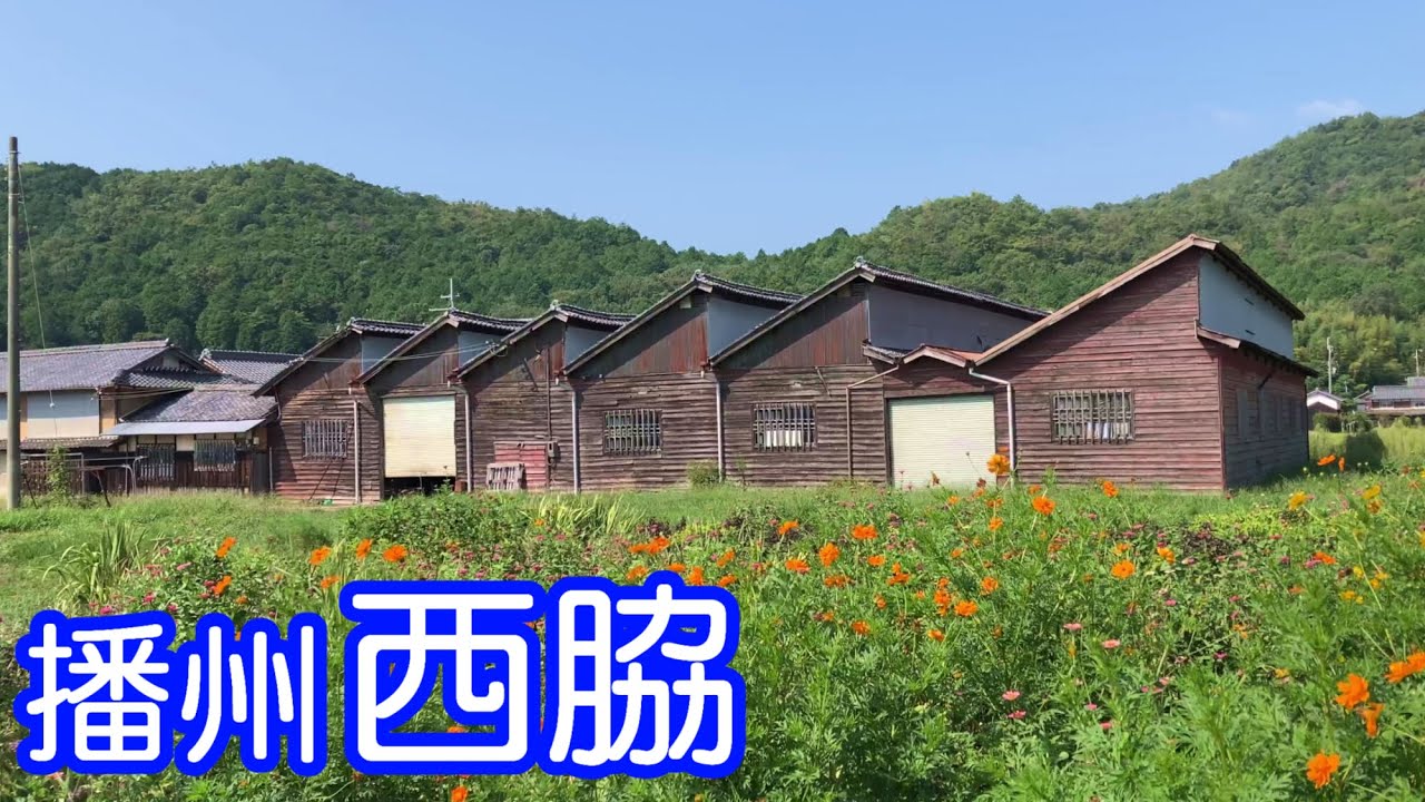 西脇小学校、旭マーケットなど西脇市に残る戦前の古い建物