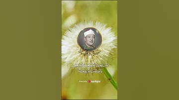 تلاوة تنسيك هموم الدنيا و ما فيها