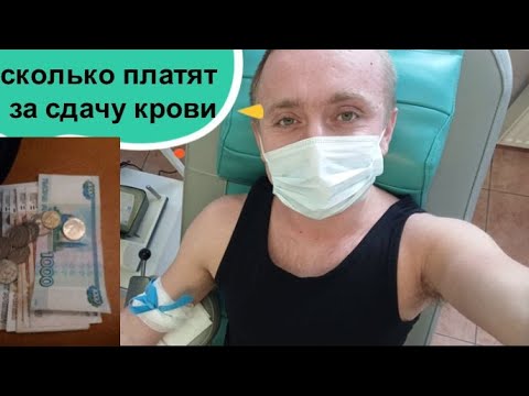 Первый раз сдаю кровь на донорство. Сколько заплатили и как все прошло!