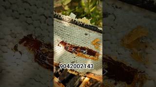 🍯 pure honey available....#honey #nature #food #viralvideo #youtubeshorts #beeproducts #beekeeping