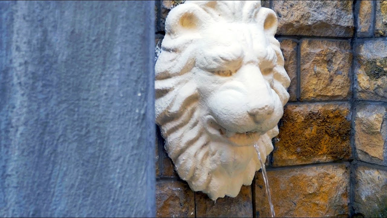 Саммит виноделов в Абрау Дюрсо