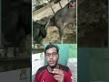 মহিষ দুটো কিভাবে আটকা পড়েছে #baffalo #funnyvideos #animalrescue #shorts #youtubeshorts