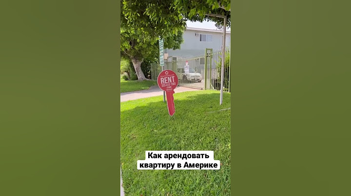 Как арендовать квартиру в Америке