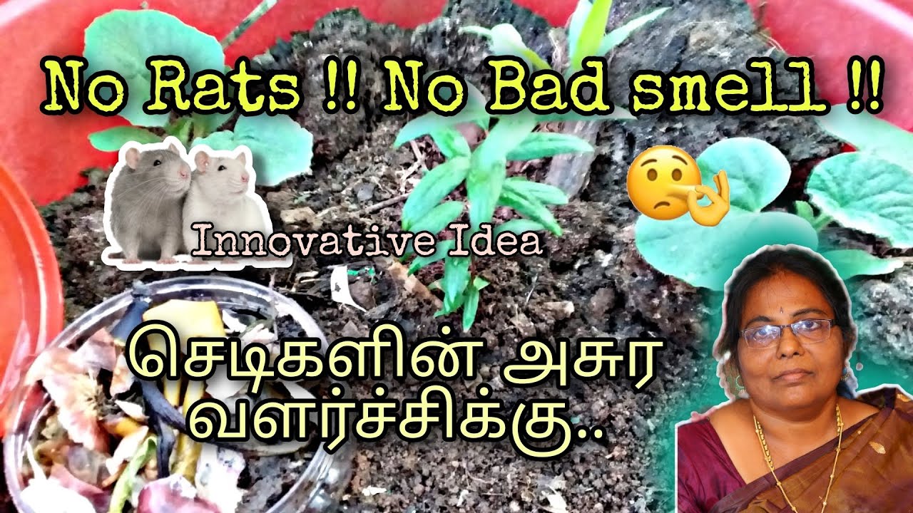 காய்கறி கழிவை இப்படி கொடுங்க | Easy Organic Compost Making for Maadithotam 