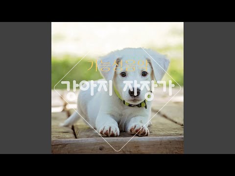 在 YouTube 上观看 나 한번 잡아봐