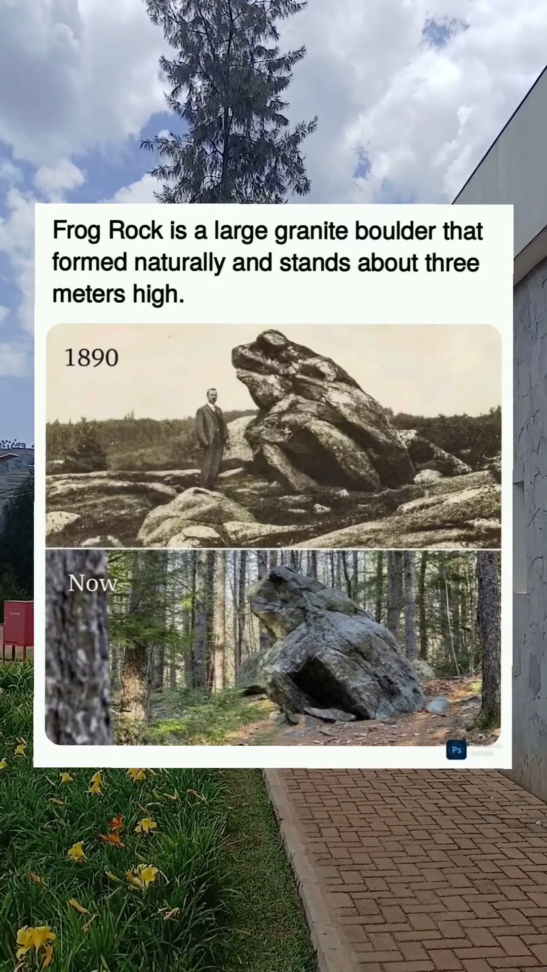 Nature made a giant frog 🐸”#Shorts #FrogRock #Nature #Geology #DidYouKnow