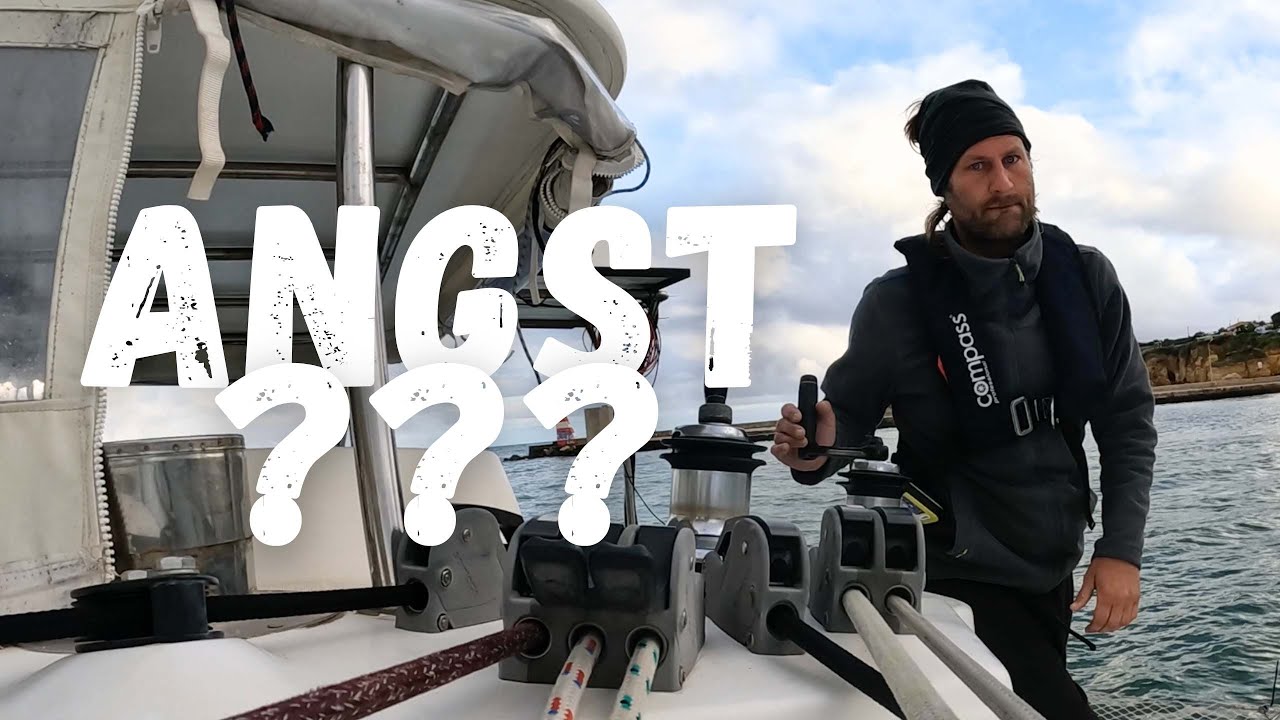 ⁣Zu viel Angst vor Orcas? ?? | Ep. 55