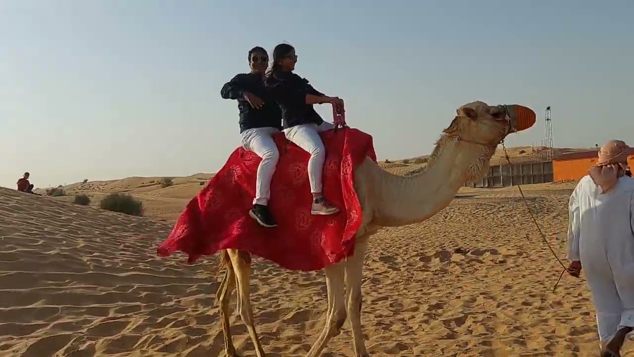 Dubai Mini Vlog | Desert Safari | Part 02