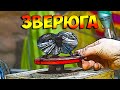 Безделушки из сарайки, ящерка из куска арматуры!