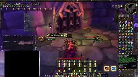 Pre-Anub paladin petri skip pull - Naxxramas - WoW 20th Anniversary classic