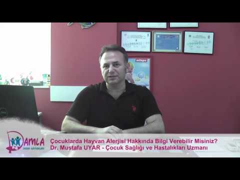 Çocuklarda Hayvan Alerjisi Hakkında Bilgi Verebilir Misiniz?