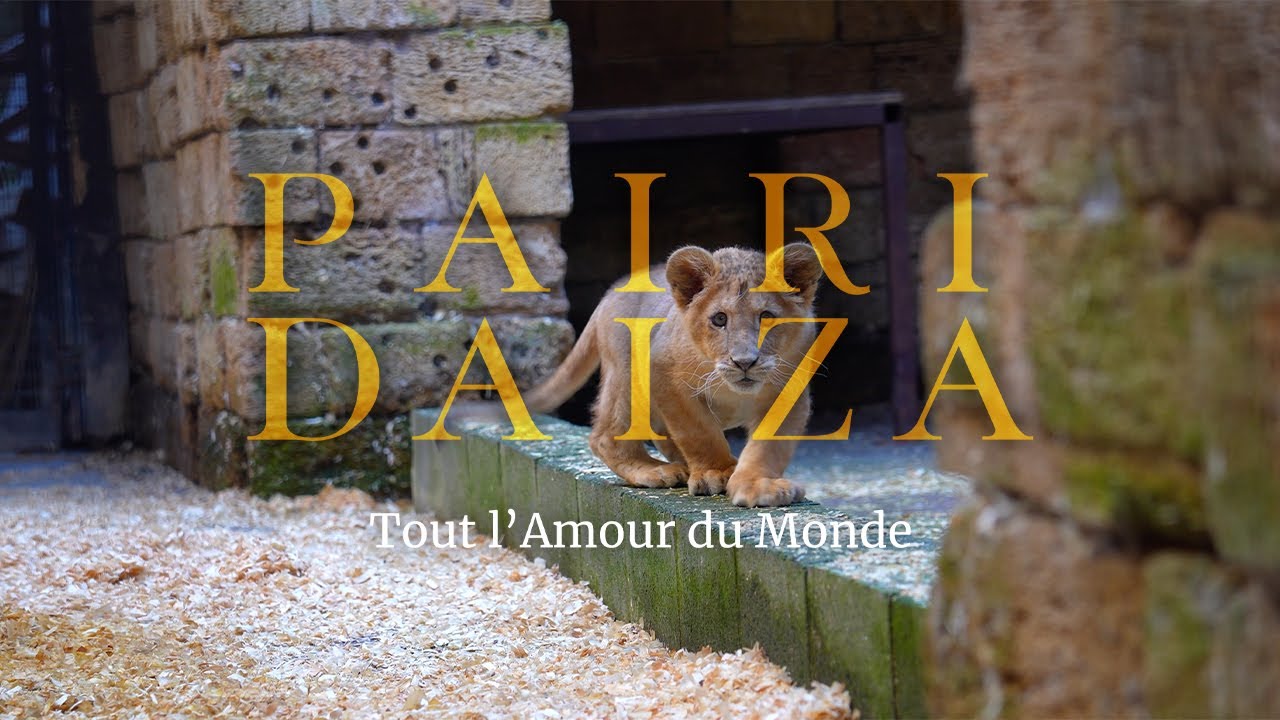 Pairi Daiza - Un voyage extraordinaire à travers les mondes