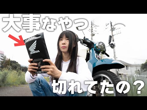 まみさん hqdefault.jpg