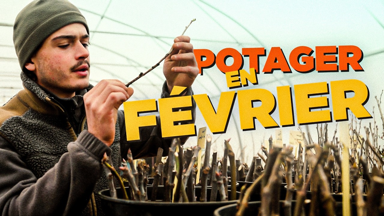 LE POTAGER EN FÉVRIER : semer, bouturer et préparer la saison 🌱