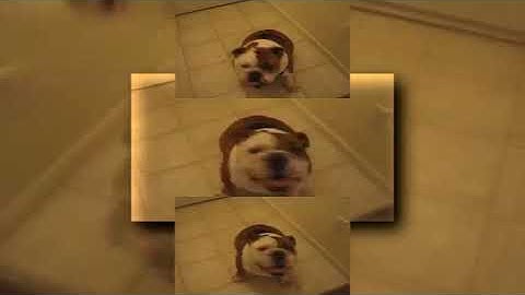 [YTPMV] HURR-DURR.flv Scan V2