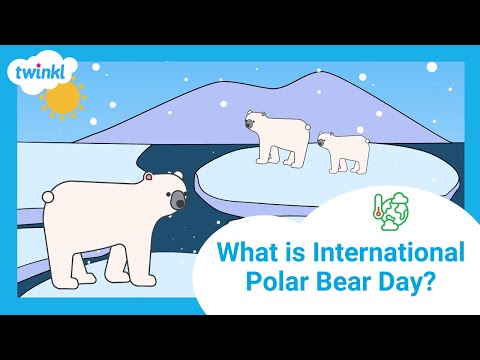 Video: Leer hoe internationale ijsbeerdag levens helpt redden
