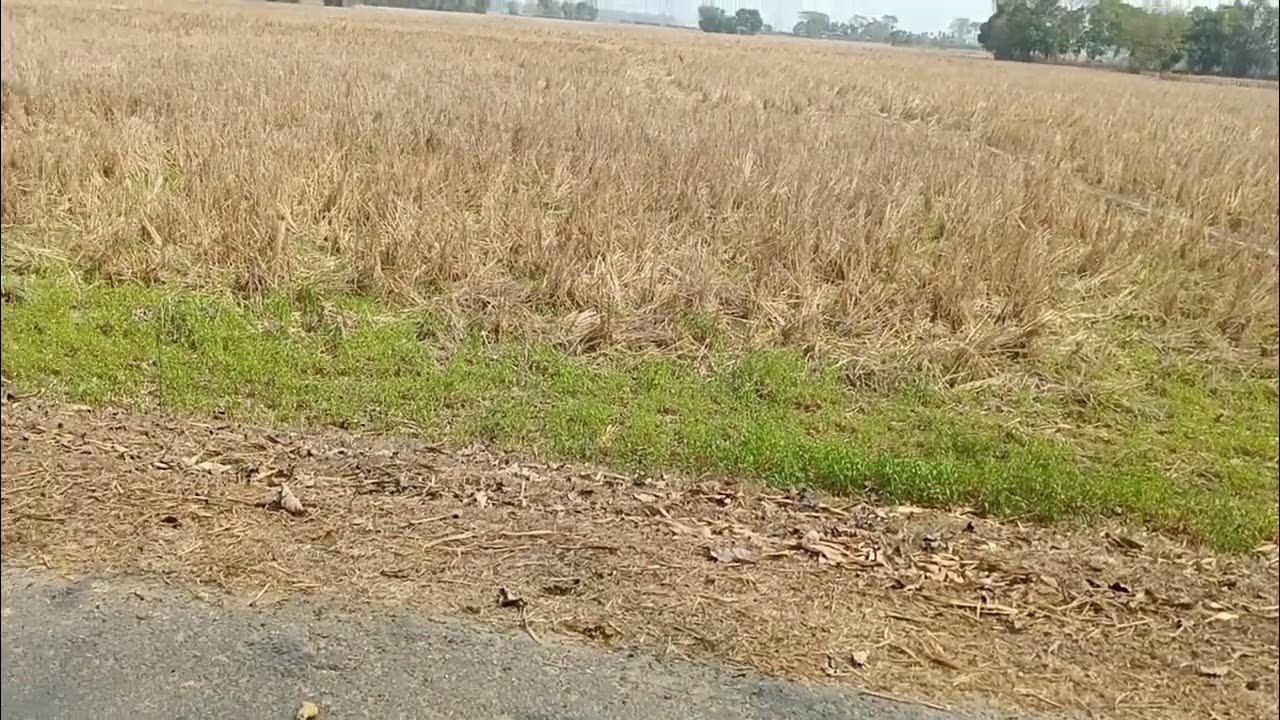 land for sale guwahati rani 8638443465 plz cnt YouTube