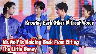 BRIGHTWIN BONDING | KNOWING EACH OTHER WITHOUT WORDS