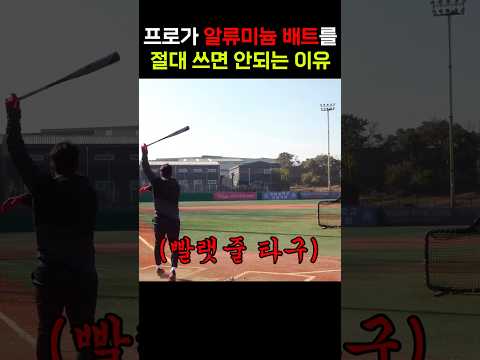 <strong>프로가</strong> 나무배트만 써야하는 이유