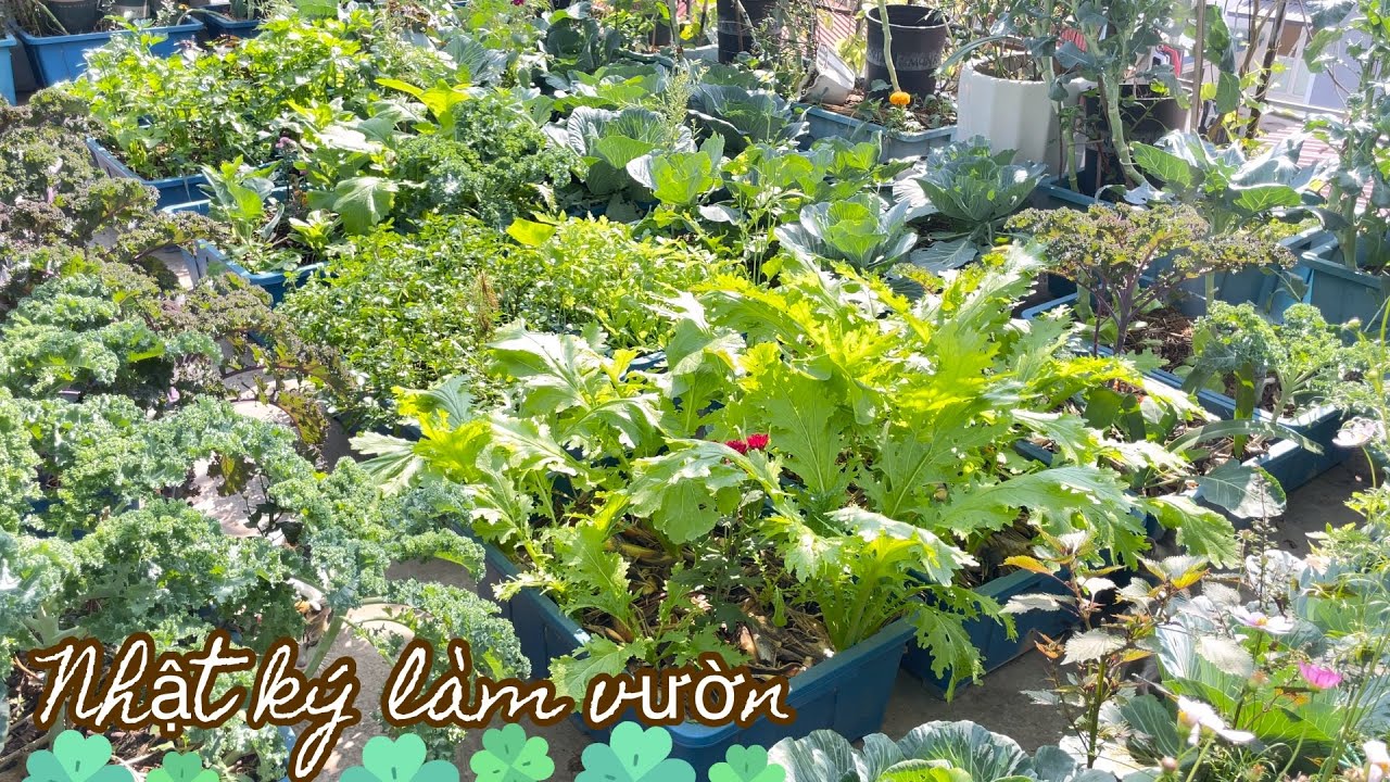 183 предложения по вьетнамским путеводителям по органическому и натуральному садоводству для выра...