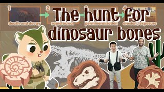 evolution what do you know about dinosaur fossils earth science for kids