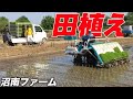 田植え2016