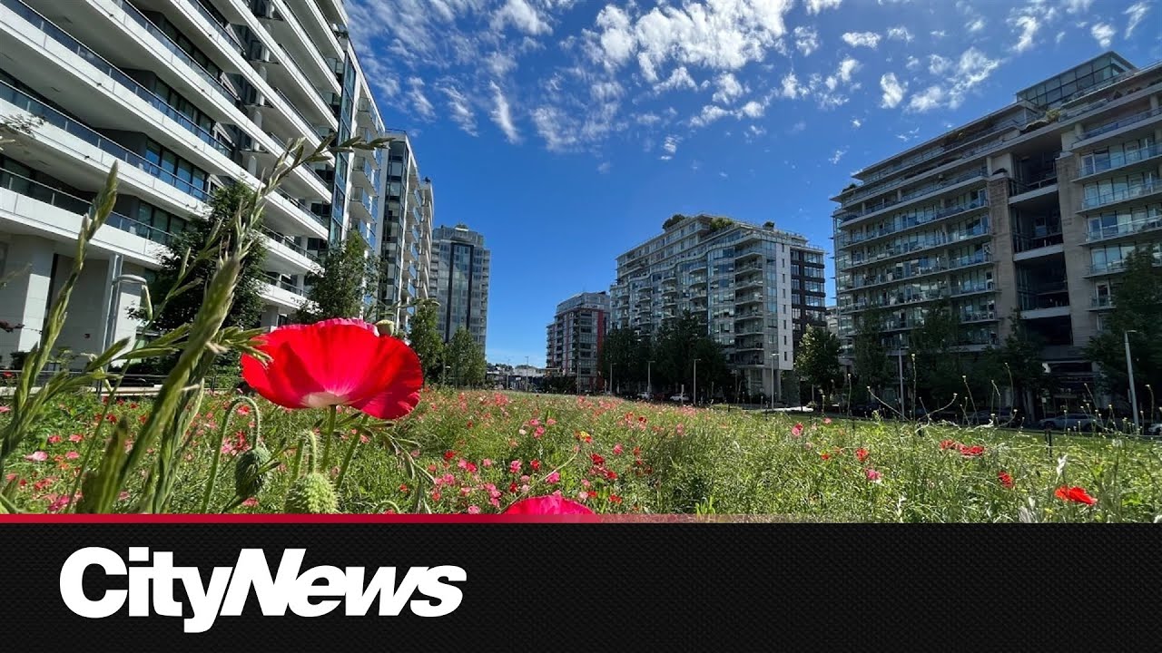 Vancouver Park Board approves designs for new park on False Creek's ...
