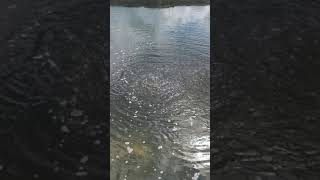 Famous Lake Jackson Sinkhole Upward Flow Profile