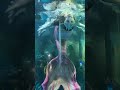 Jalpari #ytshorts#youtubeshorts#fish#fish#fishvideo