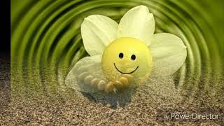 'Ye jab se hui jiya ki chori' in Sindhi, 'Jadahen khan thi dil ji chori' by Deepak Hiranandani