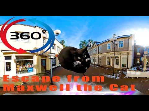 360 Video Vr | Escape From Maxwell The Cat