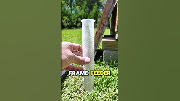 Easy Frame Feeder Options for Your Hive 🐝🍯