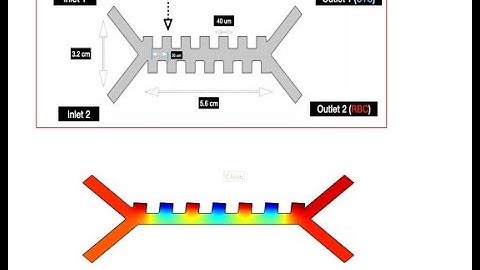 MICROFLUIDIC BASED DIELECTROPHORESIS CELL SORTER | #finalyearprojects 2020