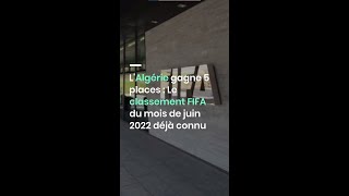 L'Algérie gagne 5 places : Le classement FIFA du mois de juin 2022 déjà connu