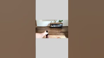 Checkout AI Walking Coffee Table  - Future Furniture is HERE! 😱 #AInews