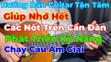 Bài Tập Giúp Nhớ Hết Các Nốt Trên Cần Đàn và Phát Triển Kỹ Năng Chạy Câu ÂM GIAI Tự Nhiên