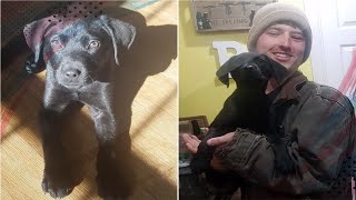 Deaf man adopts deaf rescue puppy and teaches him sign language