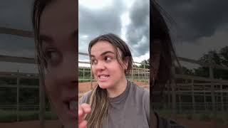 Life of a zoo keeper 🦙🦘🐢 Most people scroll during their breaks... but I play Solitaire Clash inste