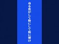 DOGLAND /people 1 カバーしました。