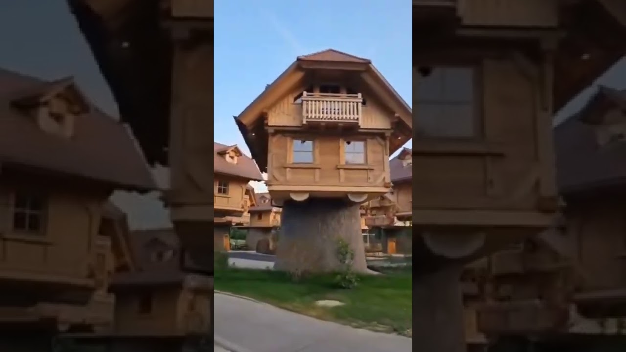 A Treehouse village located in Germany - YouTube