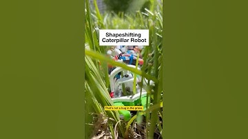Vormveranderende rupsrobot