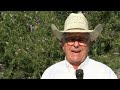 Texas A&M AgriLife launches wheat insect, disease school for Panhandle producers