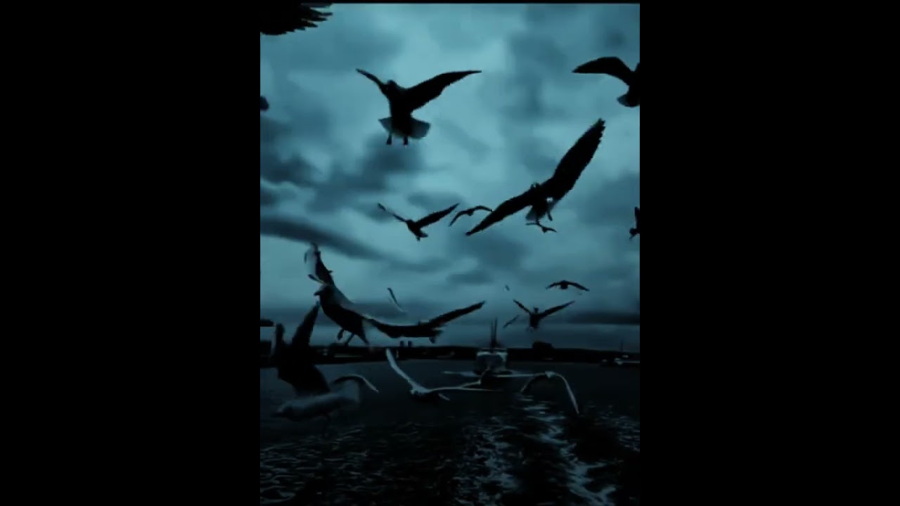 SCXR SOUL - DREAMS MAY RUN AWAY