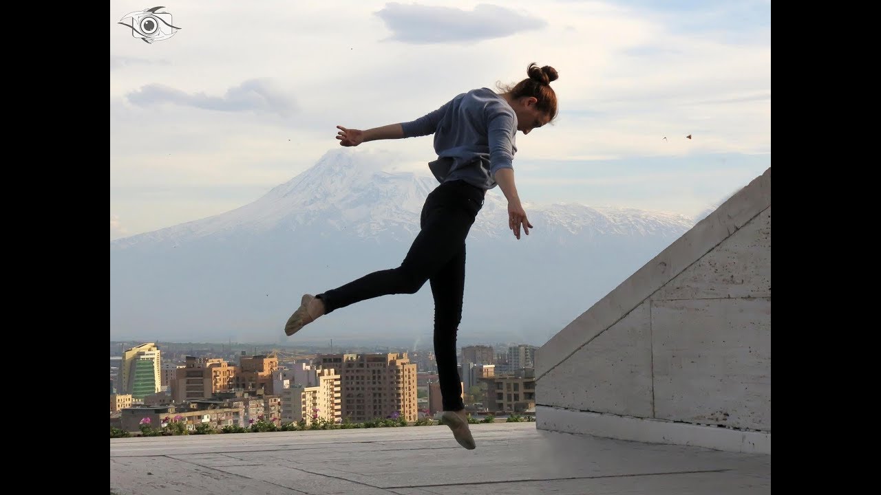 Arrival of the birds