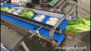 Samfull full servo system control fruit vegetable pillow bag wrapping packing machine