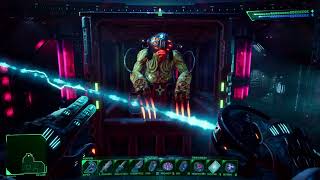 System Shock Remake  Security Edward Diego Final Fight