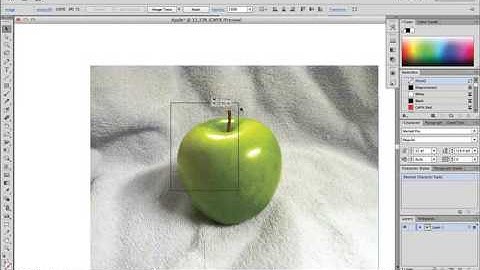 Adobe Illustrator CS6 - 2 - Placing a Photograph
