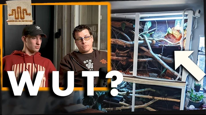 Rating YOUR Enclosures (Super Dwarf Retics)