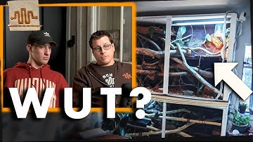 Rating YOUR Enclosures (Super Dwarf Retics)